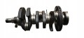 Wał korbowy kpl Opel Corsa D 1.0 12V A10XEP 55562314