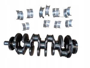 Wał korbowy panewki Opel Antara Captiva 2.0 cdti Z20S1