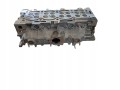 Głowica Peugeot Citroen 2.0 Blue HDI AH01 9807255910